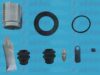 AUTOFREN SEINSA D41870C Repair Kit, brake caliper